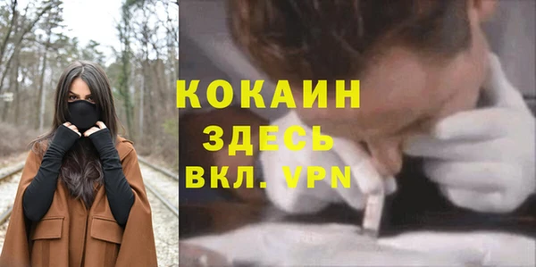 прущие грибы Заводоуковск