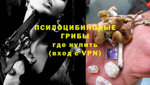 гидропоника Иноземцево
