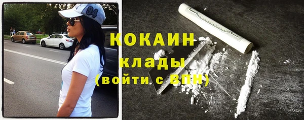 прущие грибы Заводоуковск