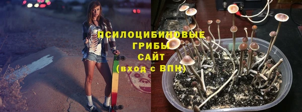 прущие грибы Заводоуковск