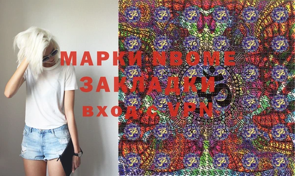 прущие грибы Заводоуковск